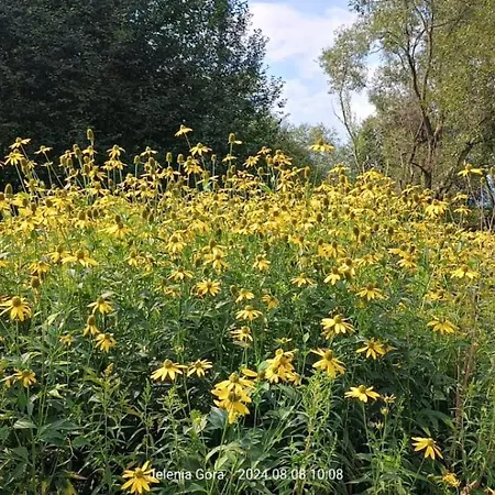 Cieplicki Zakatek Appartement Jelenia Góra