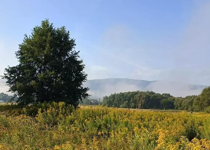 Appartement Cieplicki Zakatek *