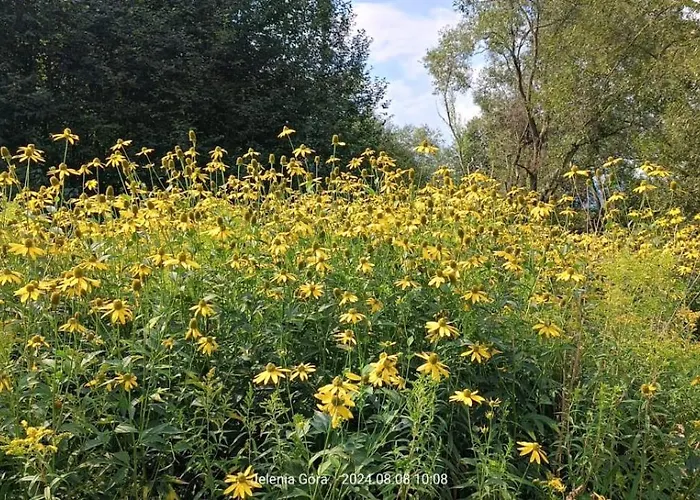 Cieplicki Zakatek Appartement Jelenia Góra